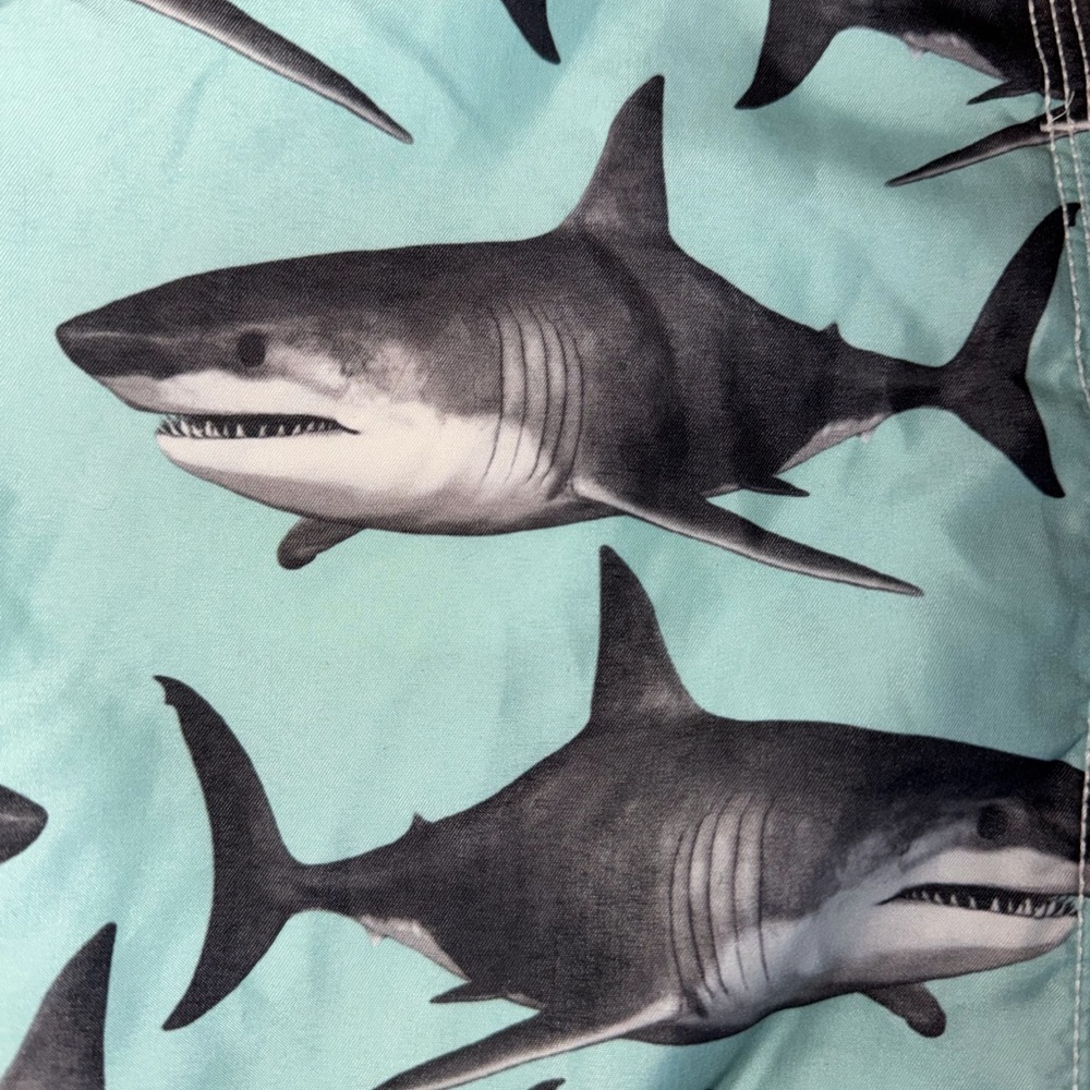 GAP Red and Gray Swim Shorts